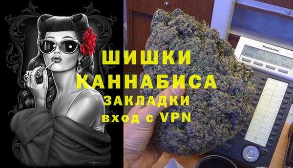 сатива Горняк